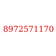 8972571170