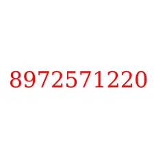 8972571220