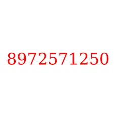 8972571250