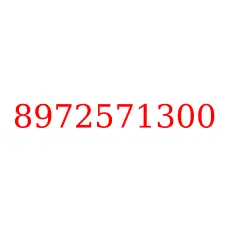 8972571300