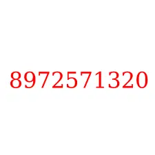 8972571320