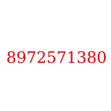 8972571380