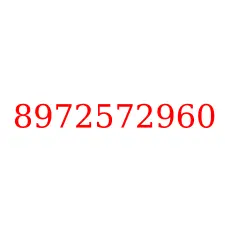 8972572960