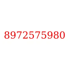 8972575980