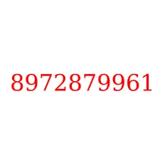 8972879961