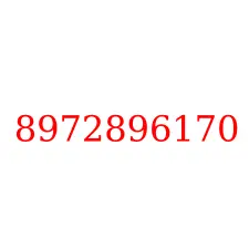 8972896170