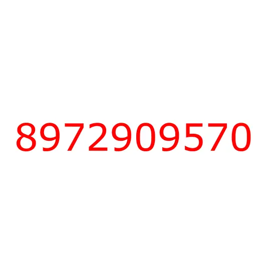 8972909570 EXTENSION; WHL,RR, 8972909570