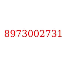 8973002731