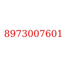8973007601
