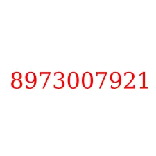 8973007921
