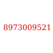 8973009521