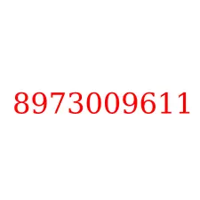 8973009611