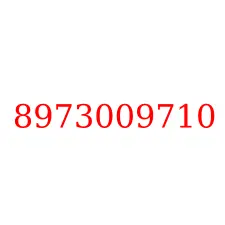 8973009710