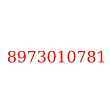 8973010781