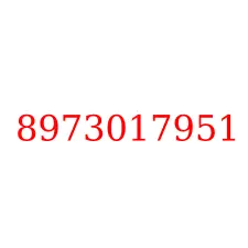 8973017951