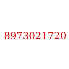 8973021720