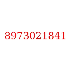8973021841