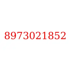 8973021852
