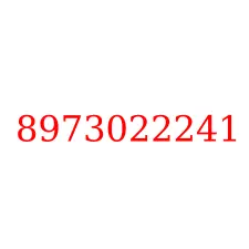 8973022241