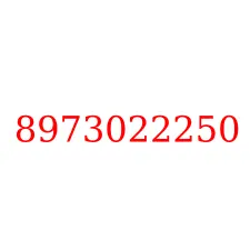 8973022250