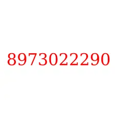 8973022290