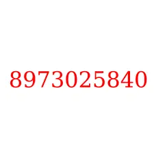8973025840