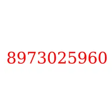 8973025960