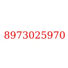 8973025970