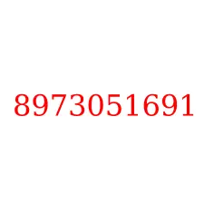 8973051691