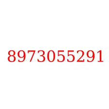 8973055291