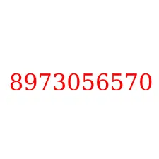 8973056570