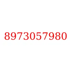 8973057980