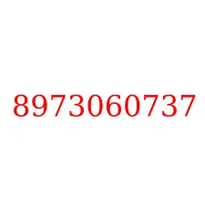 8973060737