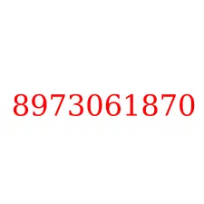 8973061870