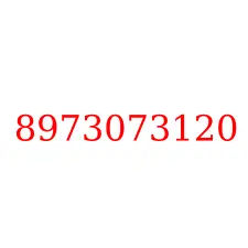 8973073120