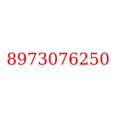 8973076250