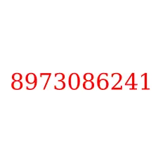 8973086241