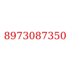 8973087350