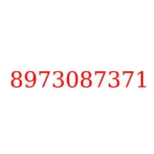 8973087371