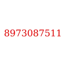 8973087511