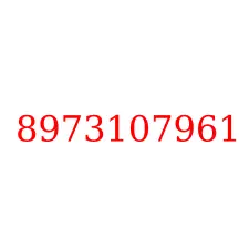 8973107961