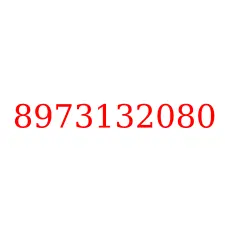 8973132080