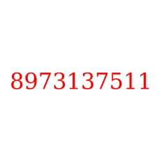 8973137511