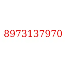 8973137970
