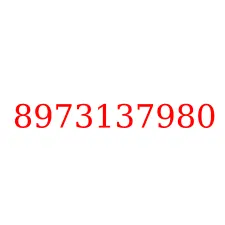 8973137980