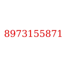 8973155871