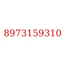 8973159310