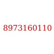 8973160110