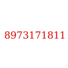 8973171811