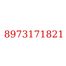 8973171821